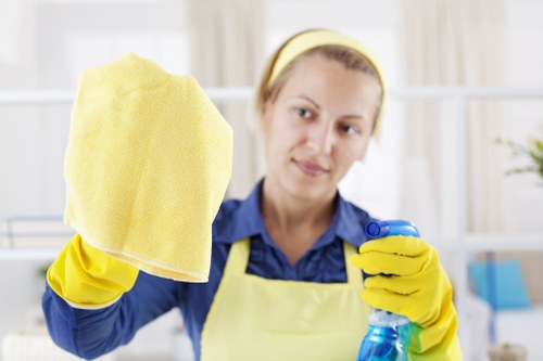 Cleaners Bromley safety and insurance introduction