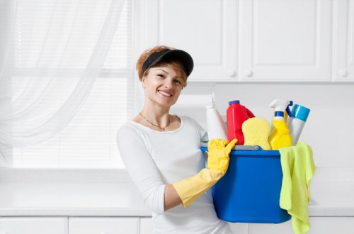 Domestic regular cleaning in Bromley for kitchen and living spaces