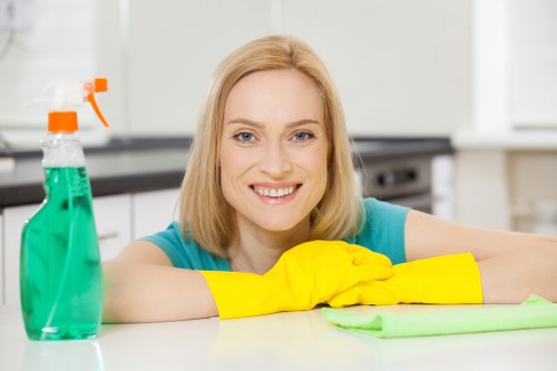 Carpet stain treatment for a Bromley household