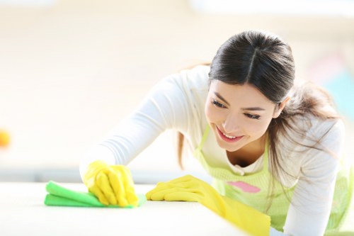Online payment security for Cleaners Bromley with encrypted processing