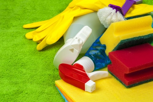 Professional pet odour treatment for carpets, sofas, and rugs in Bromley