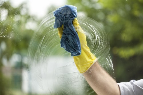Professional cleaners working during a domestic cleaning appointment