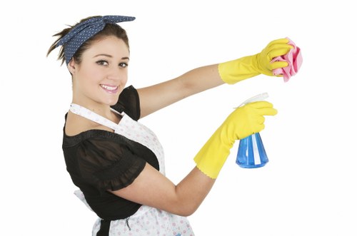 Clearing a loft and household items in Bromley