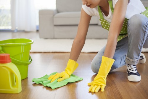 Deep cleaning details in a Bromley property with attention to hidden dust